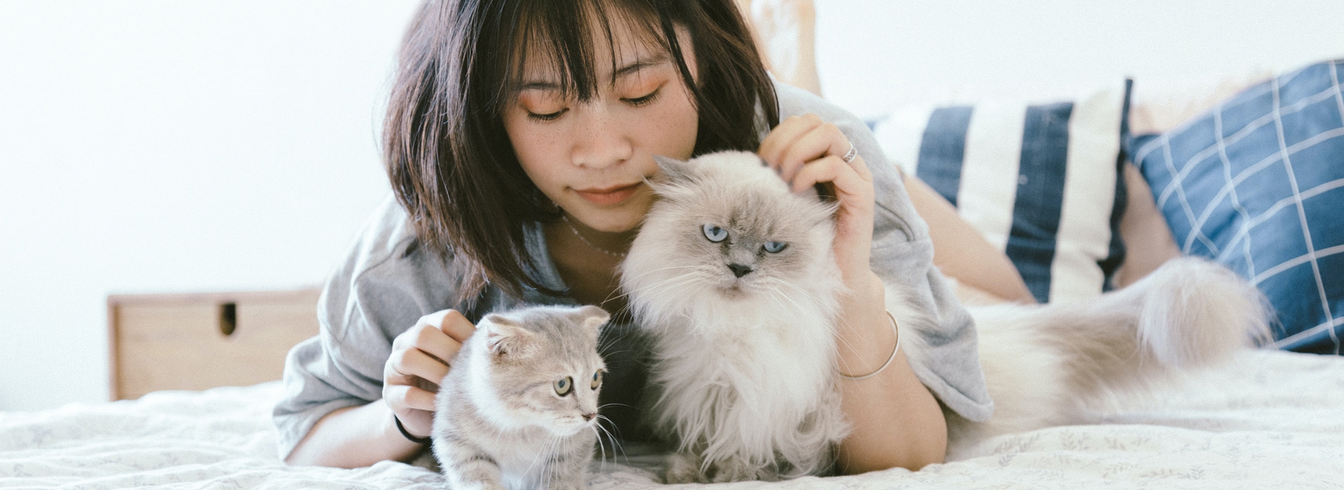 肌膚保養